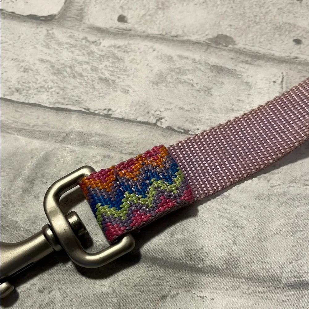 Colorful Zigzag Dog Leash chevron stitch